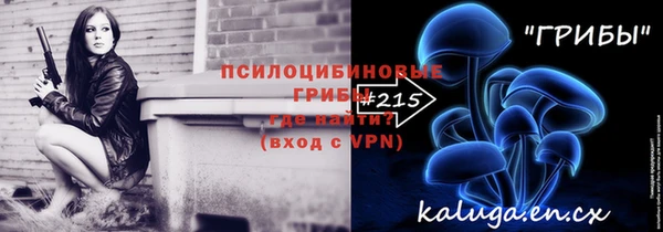 дживик Гусев