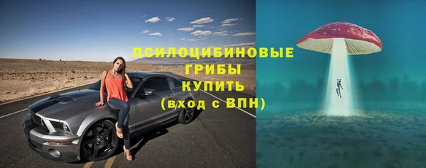 герыч Гусь-Хрустальный