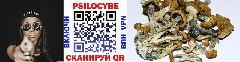 Галлюциногенные грибы GOLDEN TEACHER  Сланцы 